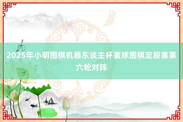 2025年小明围棋机器东谈主杯寰球围棋定段赛第六轮对阵