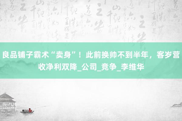 良品铺子霸术“卖身”！此前换帅不到半年，客岁营收净利双降_公司_竞争_李维华
