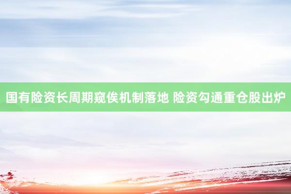 国有险资长周期窥俟机制落地 险资勾通重仓股出炉