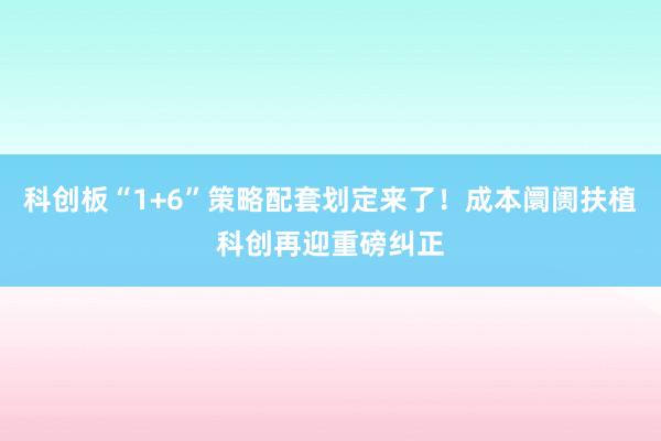 科创板“1+6”策略配套划定来了！成本阛阓扶植科创再迎重磅纠正