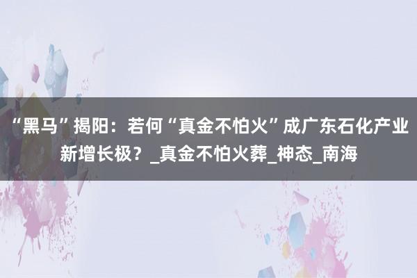 “黑马”揭阳：若何“真金不怕火”成广东石化产业新增长极？_真金不怕火葬_神态_南海