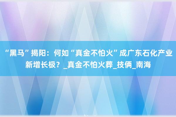 “黑马”揭阳：何如“真金不怕火”成广东石化产业新增长极？_真金不怕火葬_技俩_南海