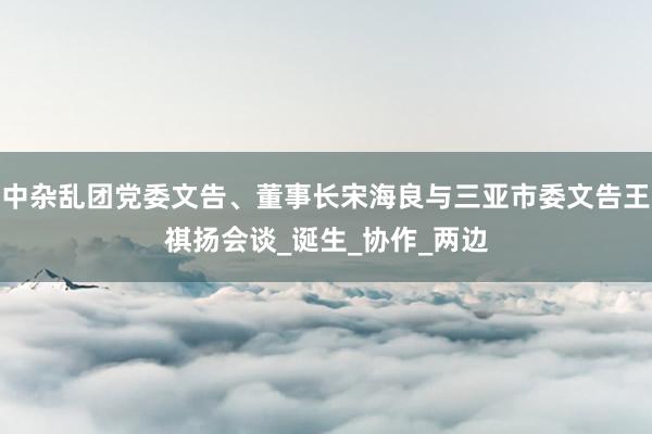 中杂乱团党委文告、董事长宋海良与三亚市委文告王祺扬会谈_诞生_协作_两边