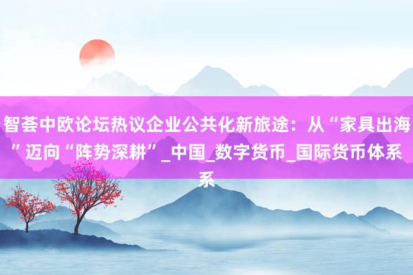 智荟中欧论坛热议企业公共化新旅途：从“家具出海”迈向“阵势深耕”_中国_数字货币_国际货币体系