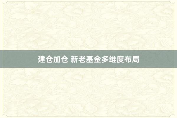 建仓加仓 新老基金多维度布局