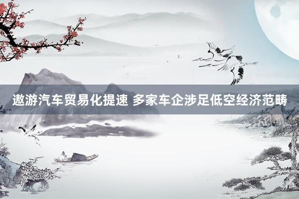 遨游汽车贸易化提速 多家车企涉足低空经济范畴