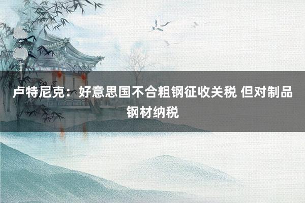 卢特尼克：好意思国不合粗钢征收关税 但对制品钢材纳税
