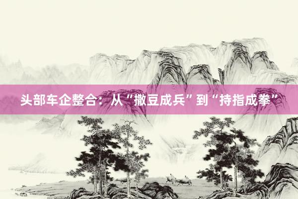 头部车企整合：从“撒豆成兵”到“持指成拳”