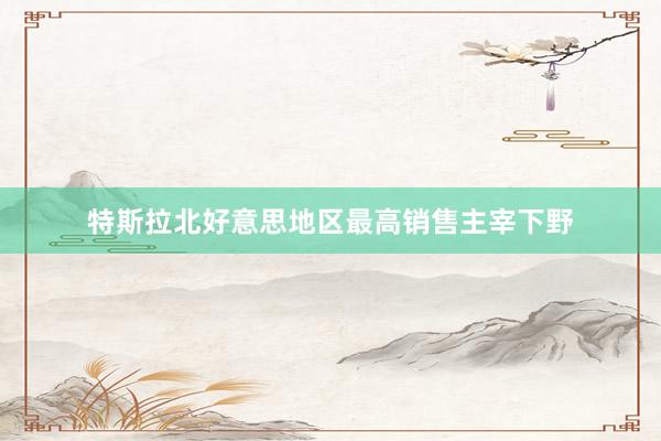 特斯拉北好意思地区最高销售主宰下野