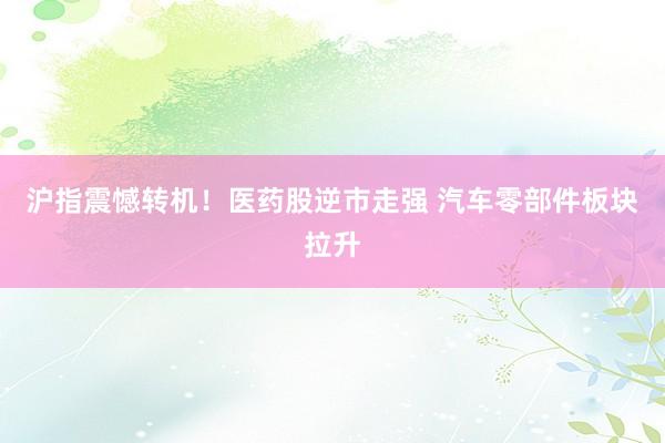 沪指震憾转机！医药股逆市走强 汽车零部件板块拉升