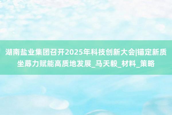 湖南盐业集团召开2025年科技创新大会|锚定新质坐蓐力赋能高质地发展_马天毅_材料_策略