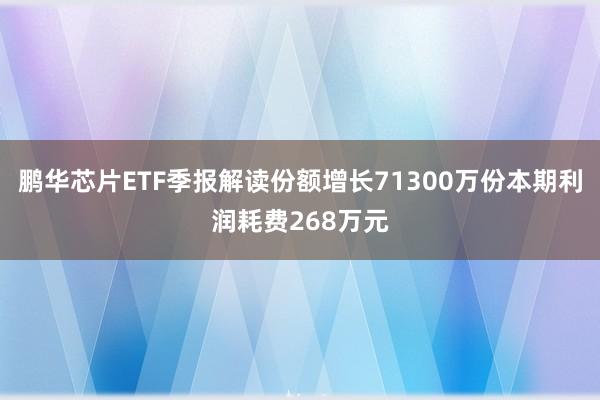 鹏华芯片ETF季报解读份额增长71300万份本期利润耗费268万元