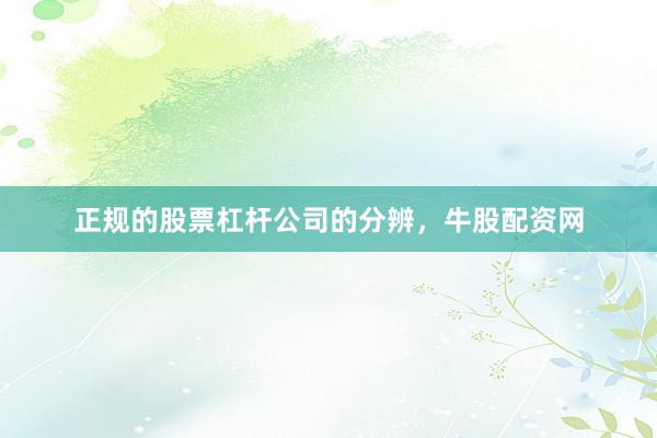 正规的股票杠杆公司的分辨，牛股配资网