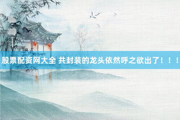 股票配资网大全 共封装的龙头依然呼之欲出了！！！