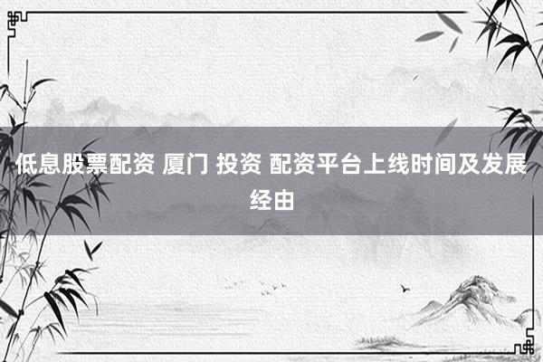 低息股票配资 厦门 投资 配资平台上线时间及发展经由