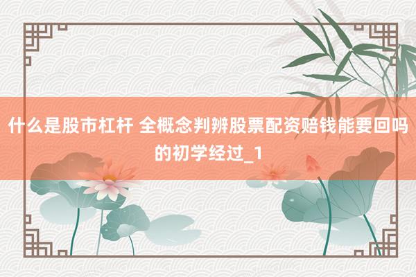 什么是股市杠杆 全概念判辨股票配资赔钱能要回吗的初学经过_1