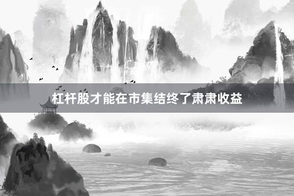 杠杆股才能在市集结终了肃肃收益