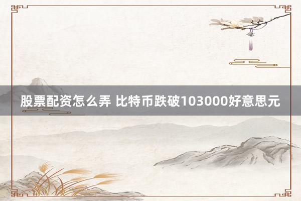 股票配资怎么弄 比特币跌破103000好意思元