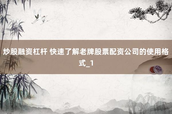 炒股融资杠杆 快速了解老牌股票配资公司的使用格式_1
